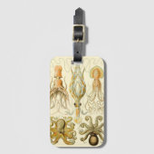 ヴィンテージタコイカガモチョニアバイエルンストハエッケル ラゲッジタグ (正面縦)