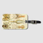 ヴィンテージタコイカガモチョニアバイエルンストハエッケル ラゲッジタグ (正面横)