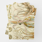 ヴィンテージタコイカガモチョニアバイエルンストハエッケル ラッピングペーパーシート (インサイチュ)