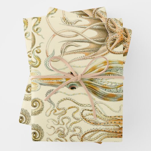 ヴィンテージタコイカガモチョニアバイエルンストハエッケル ラッピングペーパーシート (インサイチュ)