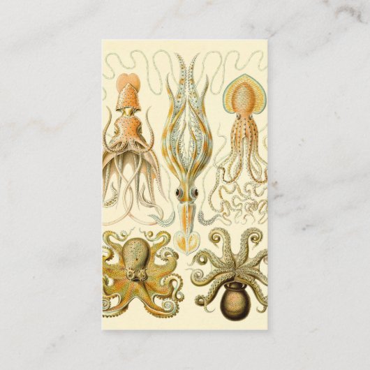 ヴィンテージタコイカガモチョニアバイエルンストハエッケル 名刺 (裏面)