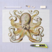 ヴィンテージタコイラストレーションバイエルンストヘイケル 薄葉紙 (クラフト)