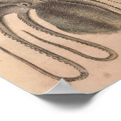 ヴィンテージタコプリントシーライフイラストレーション ポスター (角)