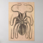 ヴィンテージタコプリントシーライフイラストレーション ポスター (正面)