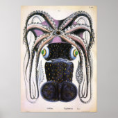 ヴィンテージタコ又はイカ海洋生物動物 ポスター (正面)