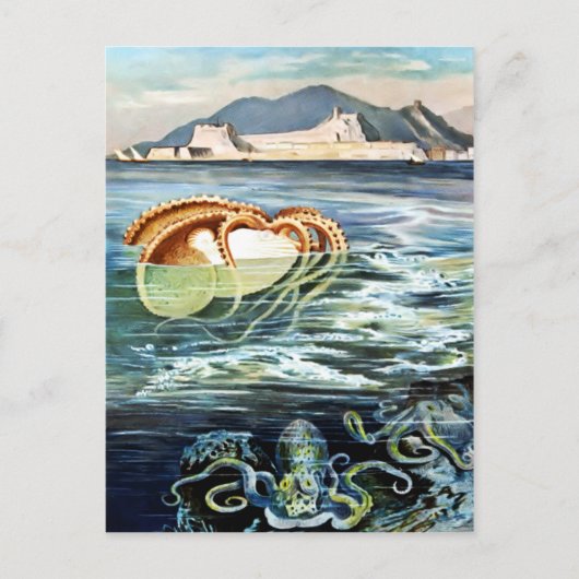 ヴィンテージタコ&イカ葉書 ポストカード (正面)