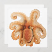 ヴィンテージタコ・サルティ、海洋水中競技動物 (正面/裏面)