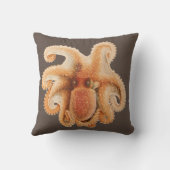 ヴィンテージタコ・サルティ、海洋水中競技動物 クッション (裏面)