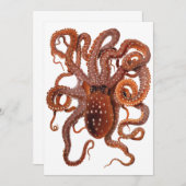 ヴィンテージタコ・マクロプス、海洋水中競技動物 (正面/裏面)