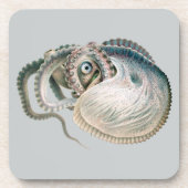 ヴィンテージタコArgonautonot、海洋生物 コースター (正面)