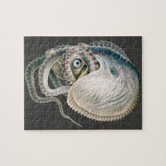 ヴィンテージタコArgonautonot、海洋生物 ジグソーパズル (横)