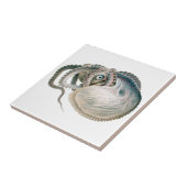 ヴィンテージタコArgonautonot、海洋生物 タイル (側面)