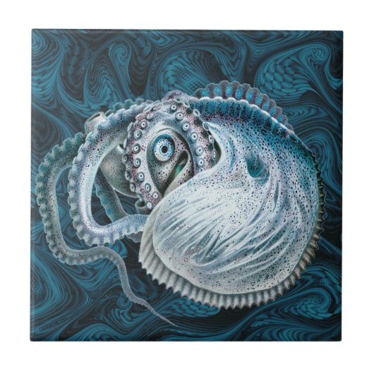 ヴィンテージタコSquid Nautilus Argout タイル (正面)