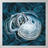 ヴィンテージタコSquid Nautilus Argout ポスター (正面)