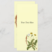 ヴィンテージタンデロンイラストレーション (正面/裏面)