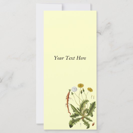 ヴィンテージタンデロンイラストレーション (正面)