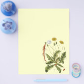 ヴィンテージタンデロンイラストレーション チラシ (シングル)