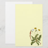 ヴィンテージタンデロンイラストレーション 便箋 (正面/裏面)