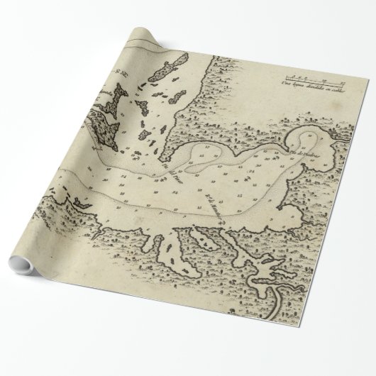 ヴィンテージタンパフロリダの地図（1809年） ラッピングペーパー (アンロールド)