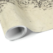 ヴィンテージタンパフロリダの地図（1809年） ラッピングペーパー (ロールコーナー)