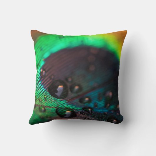 ヴィンテージターコイズグリーンエレガントピーコックフェザー クッション (裏面)