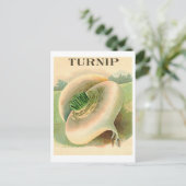 ヴィンテージターニップシードパケット葉書 ポストカード (スタンド正面)