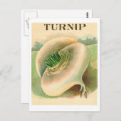 ヴィンテージターニップシードパケット葉書 ポストカード (正面/裏面)