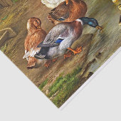 ヴィンテージダックスダックリングスファーム動物 薄葉紙 (詳細)