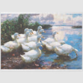 ヴィンテージダックスティッシュペーパー 薄葉紙 (正面)