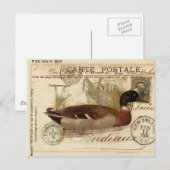 ヴィンテージダック ポストカード (正面/裏面)
