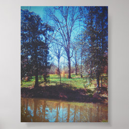 ヴィンテージダフォディルレイク写真 ポスター