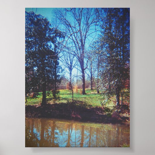 ヴィンテージダフォディルレイク写真 ポスター (正面)