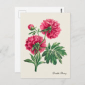 ヴィンテージダブル牡丹はがき ポストカード (正面/裏面)