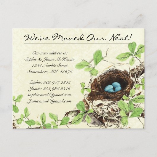 ヴィンテージダマスク巣の卵を移動 案内ポストカード (正面)