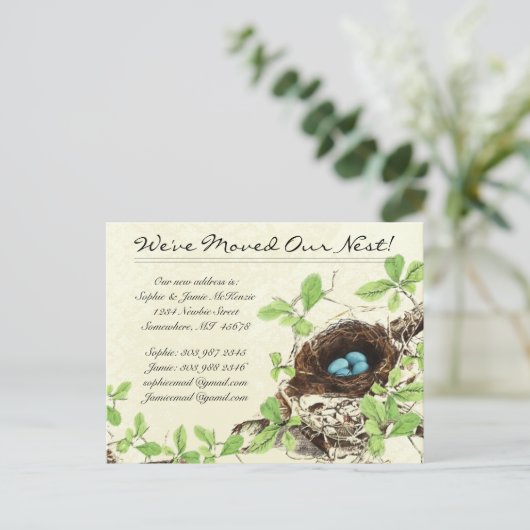 ヴィンテージダマスク巣の卵を移動 案内ポストカード (スタンド正面)