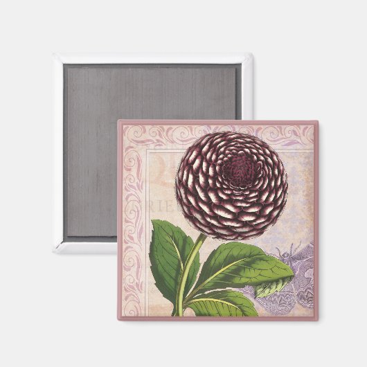 ヴィンテージダリア植物色コラージダマスコース背景 マグネット (正面/裏面)