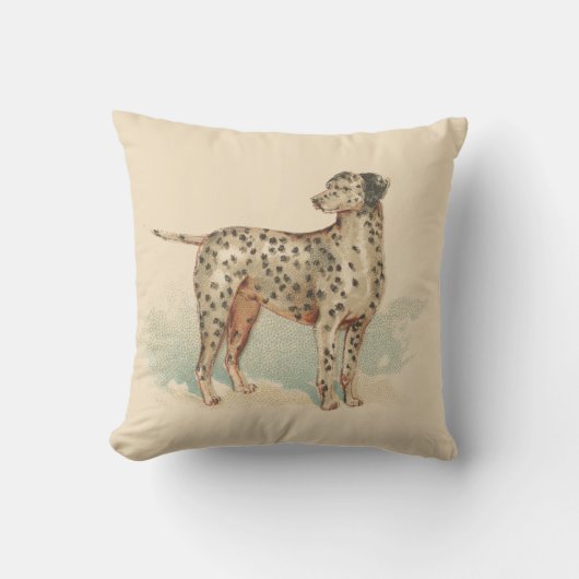 ヴィンテージダルマエレガントスプリントソフトピンククッション クッション (正面)