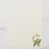 ヴィンテージダンデロンイラストレーションフライヤー チラシ (正面)