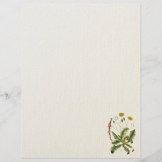 ヴィンテージダンデロンイラストレーションフライヤー チラシ (正面)