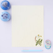 ヴィンテージダンデロンイラストレーションフライヤー チラシ (シングル)