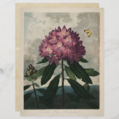 ヴィンテージダークアカデミアボタニカルプリント (正面/裏面)