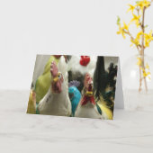 ヴィンテージチキンすべての行事 カード (黄色い花)