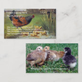 ヴィンテージチキンアイテムと写真 名刺 (正面/裏面)