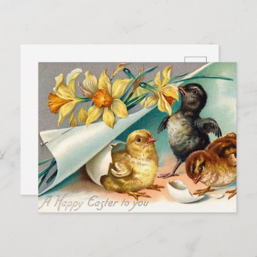 ヴィンテージチックスと黄色の花イースターグリーティング ポストカード (正面/裏面)