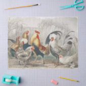 ヴィンテージチッケンティッシュまたはデコページ紙 薄葉紙 (クラフト)