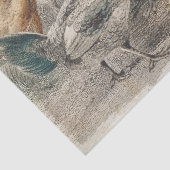 ヴィンテージチッケンティッシュまたはデコページ紙 薄葉紙 (詳細)