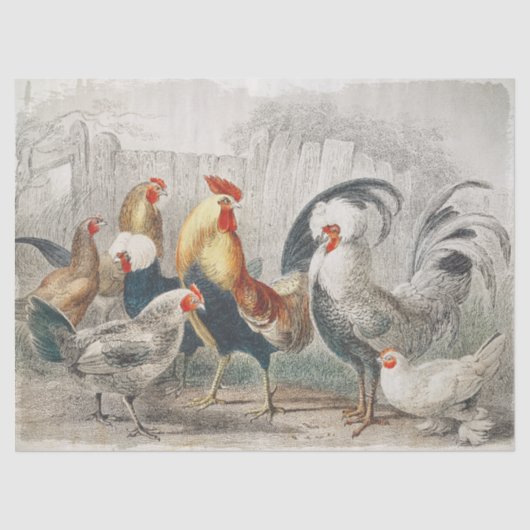 ヴィンテージチッケンティッシュまたはデコページ紙 薄葉紙 (正面)