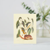 ヴィンテージチムンクイラストレーション ポストカード (スタンド正面)