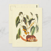 ヴィンテージチムンクイラストレーション ポストカード (正面/裏面)