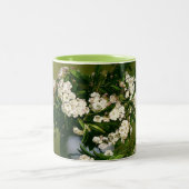 ヴィンテージチャールズイーサンポーター山ローレル ツートーンマグカップ (中央)